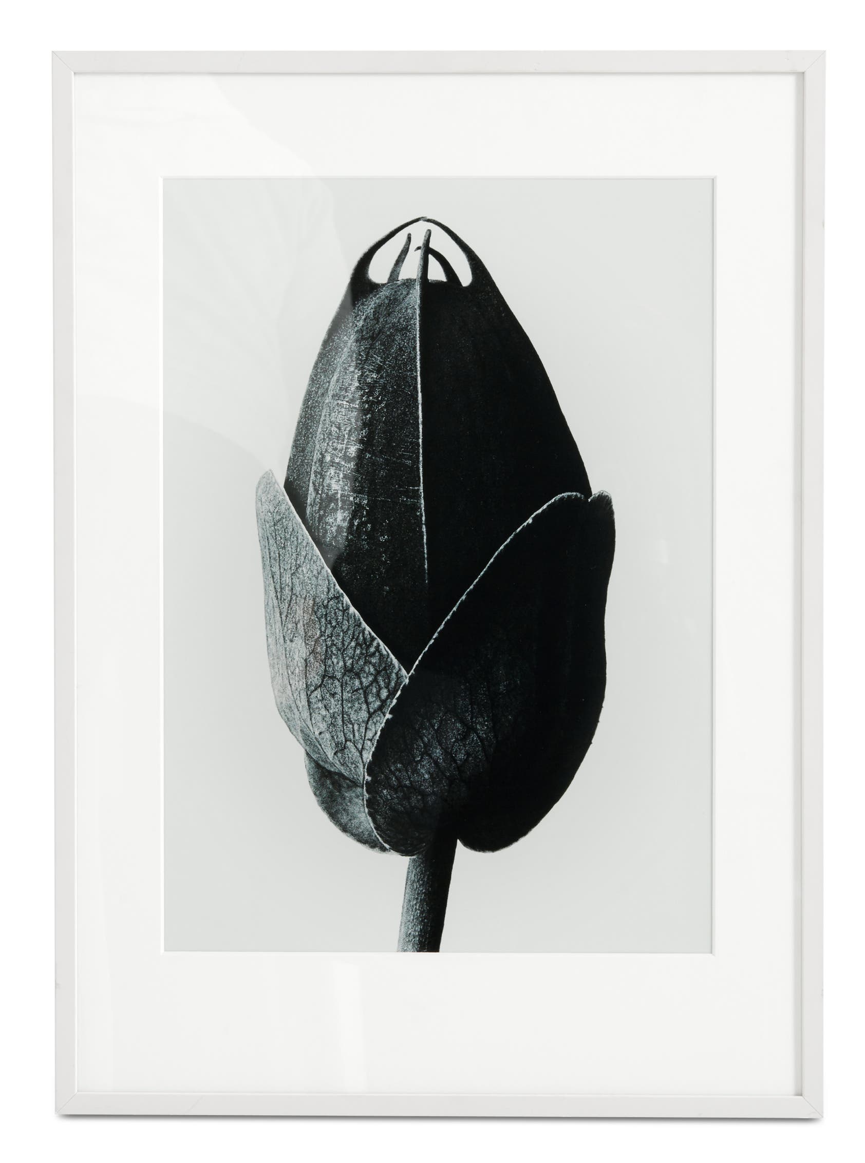 額縁 boconcept Silent art Silent art Gallery | Gallery | Silent 額縁 boconcept Silent art Silent art Gallery | Gallery | Silent